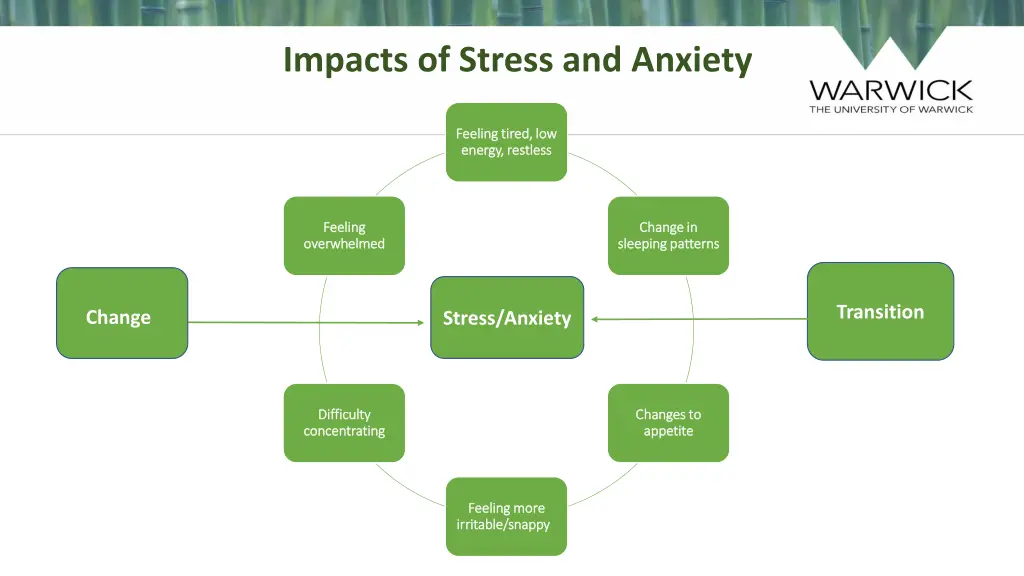 impacts of stress and anxiety