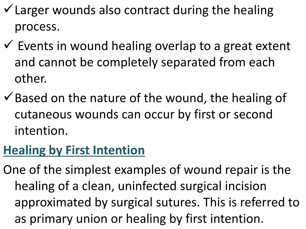 larger wounds also contract during the healing