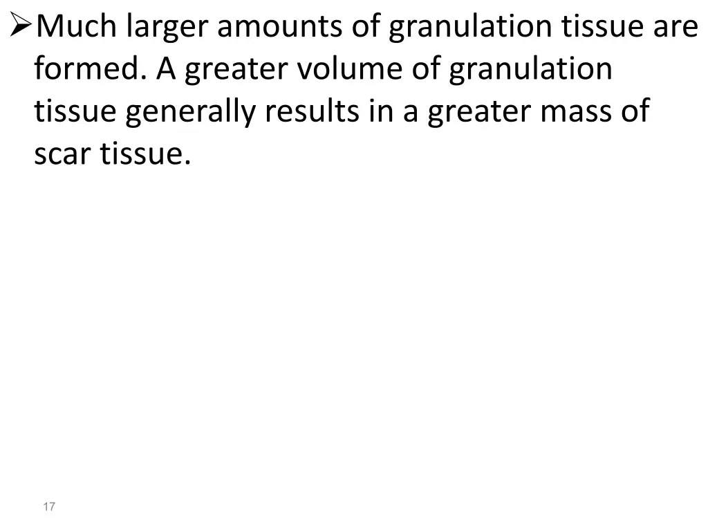 much larger amounts of granulation tissue