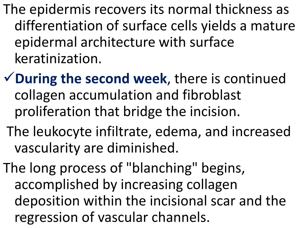 the epidermis recovers its normal thickness