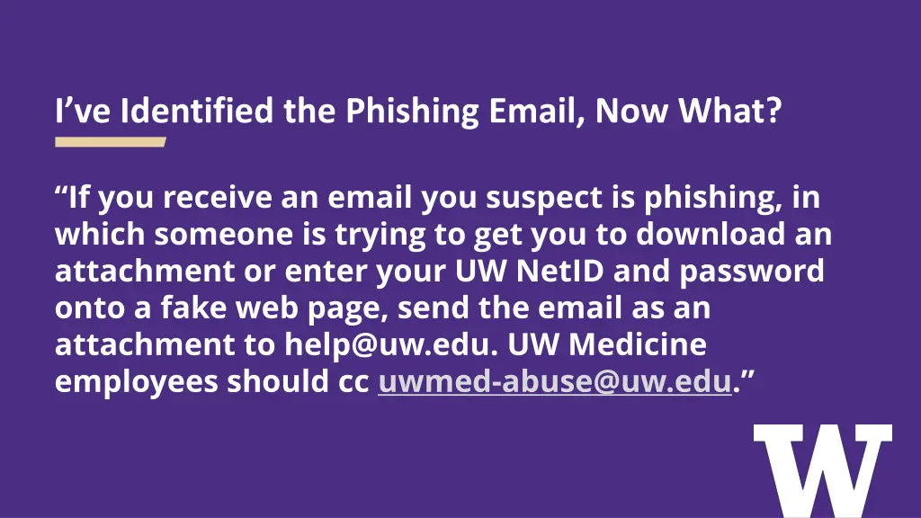 i ve identified the phishing email now what 1