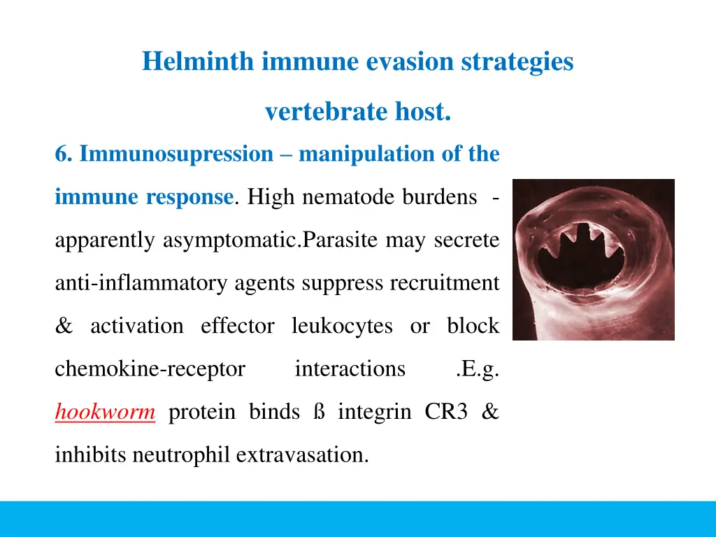 helminth immune evasion strategies 2