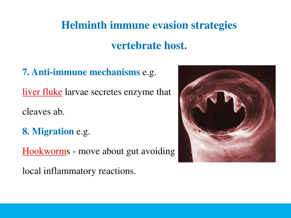 helminth immune evasion strategies 3