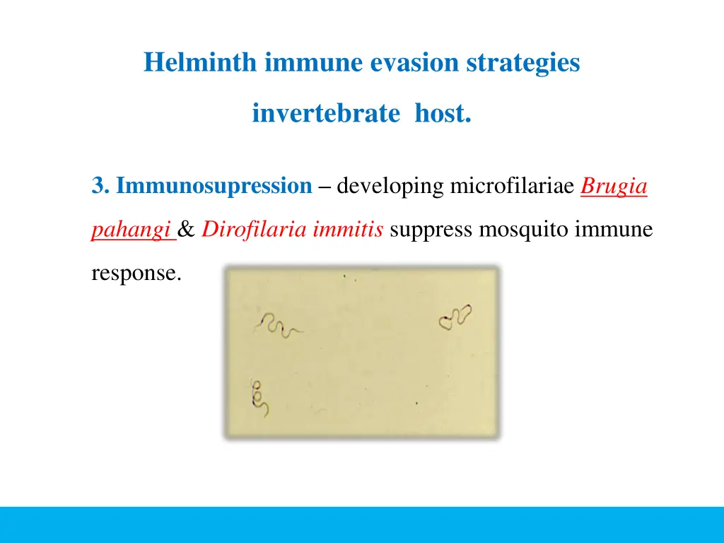 helminth immune evasion strategies 5