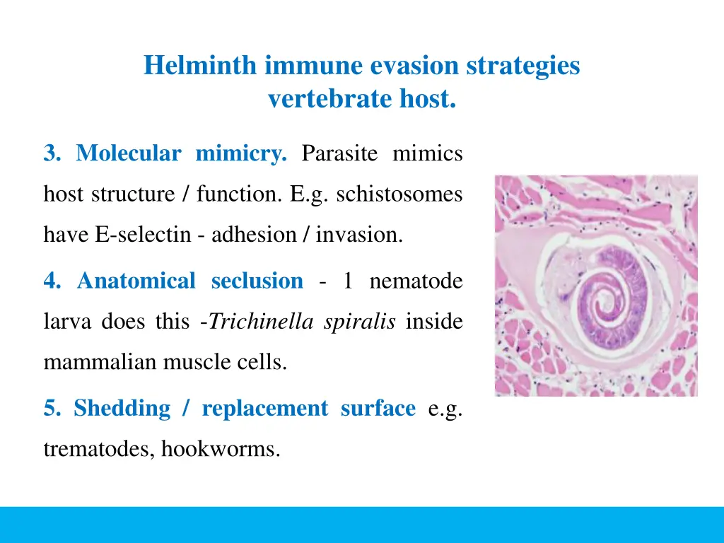 helminth immune evasion strategies vertebrate host