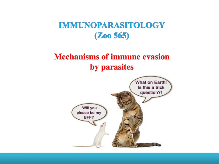 immunoparasitology zoo 565