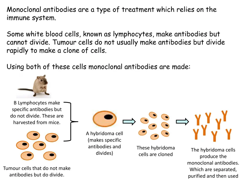 monoclonal antibodies are a type of treatment