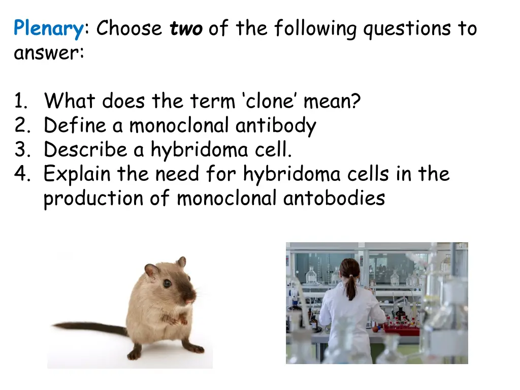 plenary choose two of the following questions