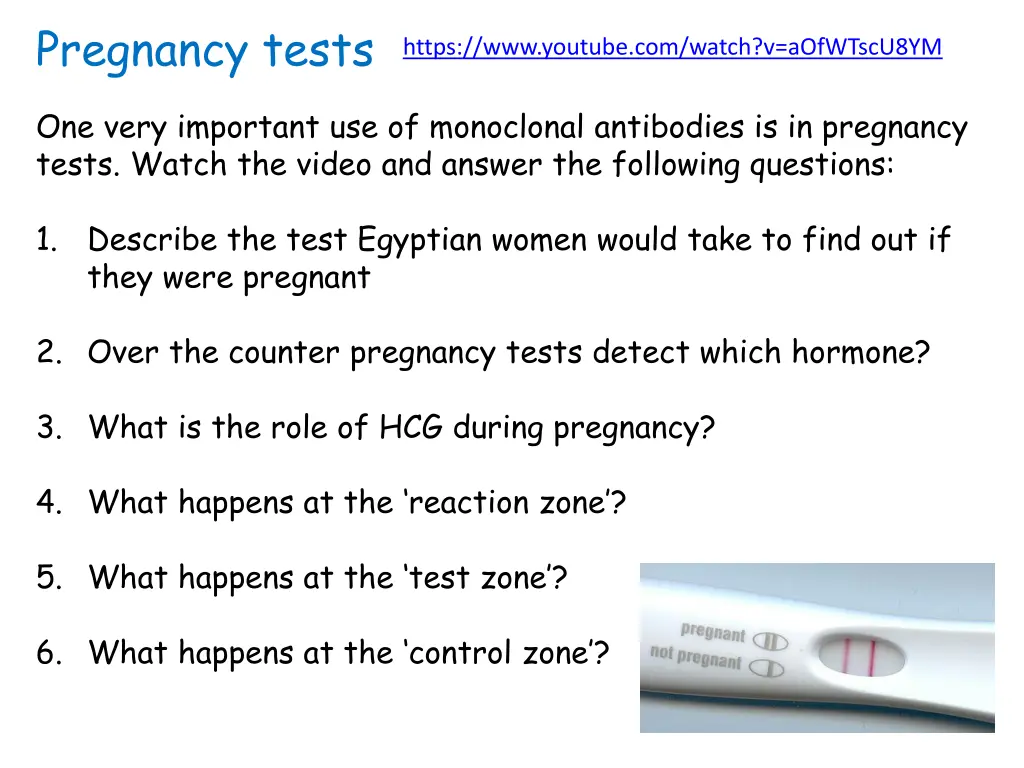 pregnancy tests