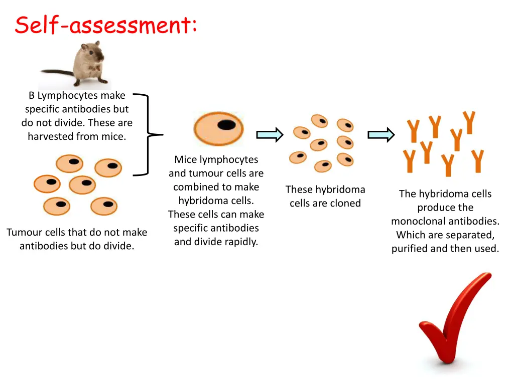 self assessment