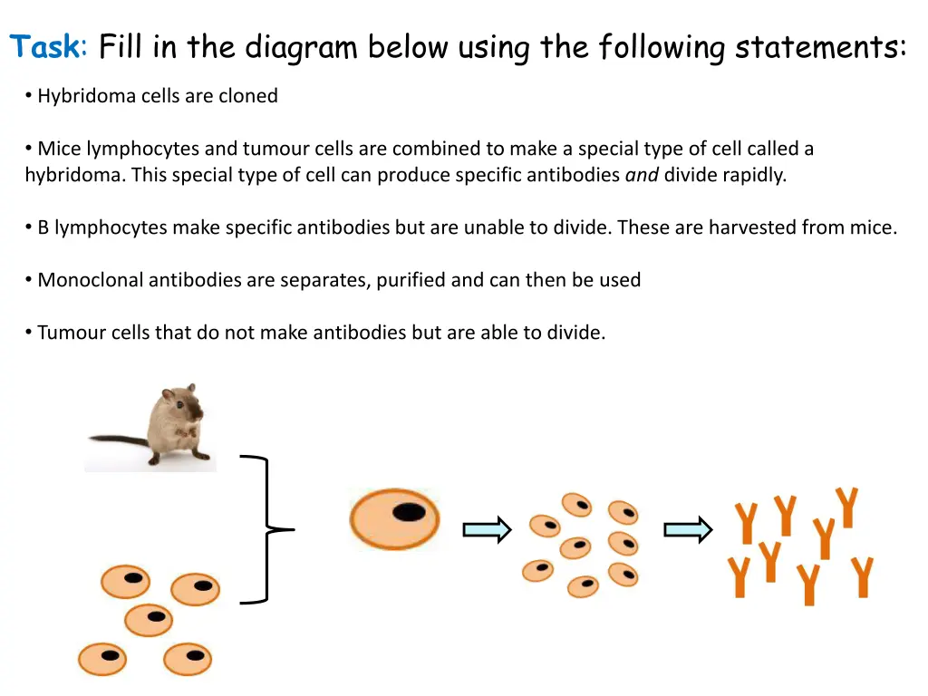 task fill in the diagram below using