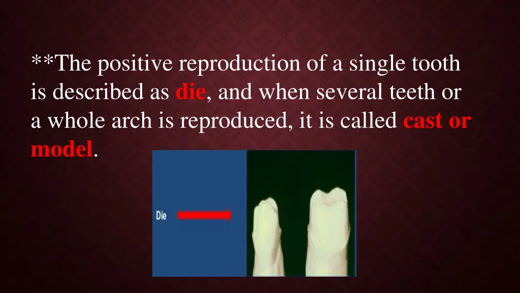 the positive reproduction of a single tooth