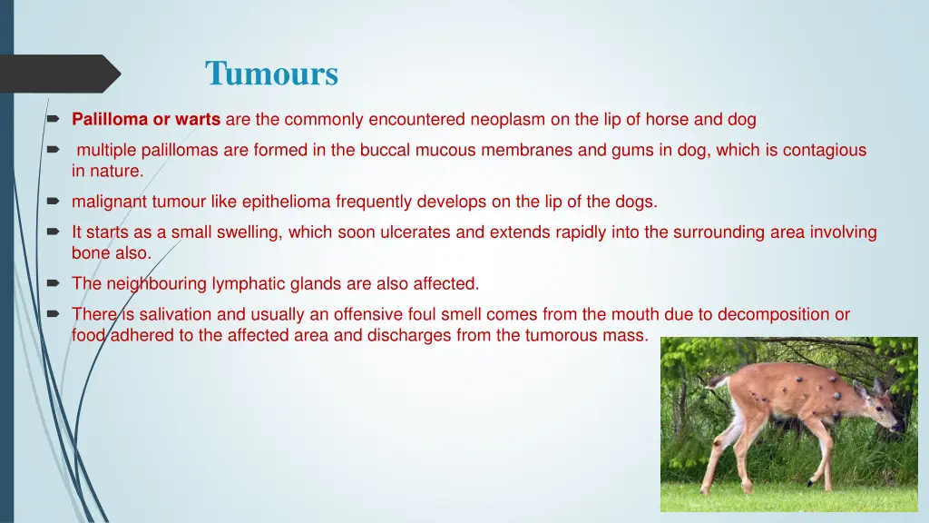 tumours