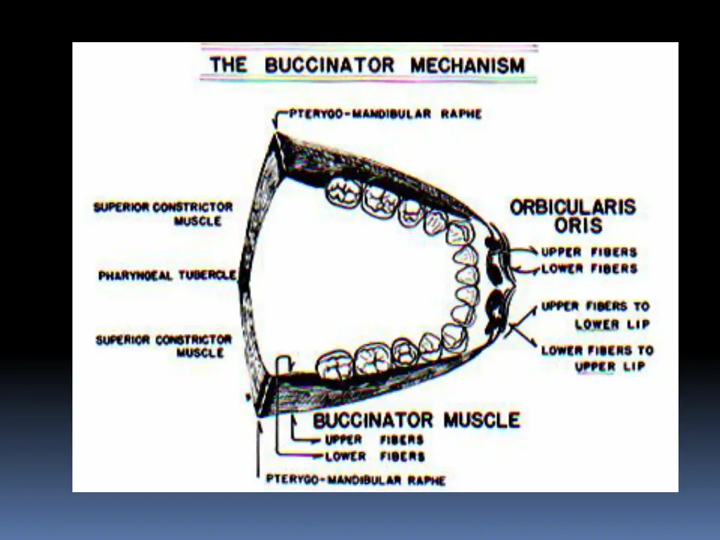 slide15