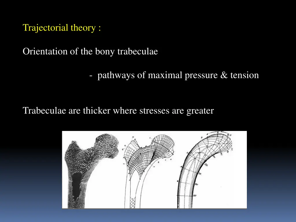 trajectorial theory