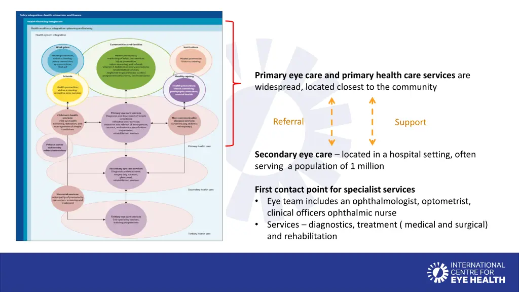 primary eye care and primary health care services