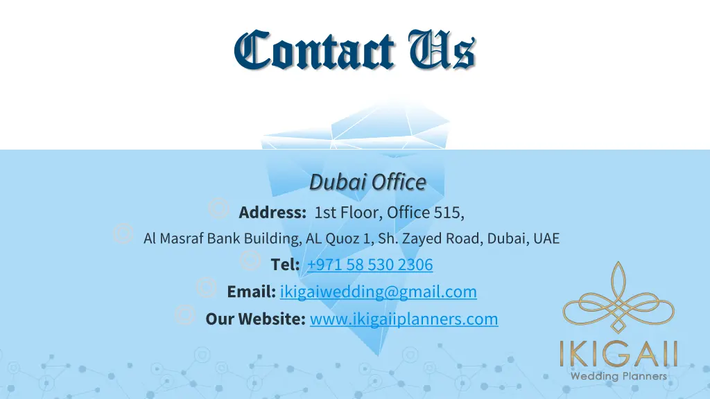 contact contact us