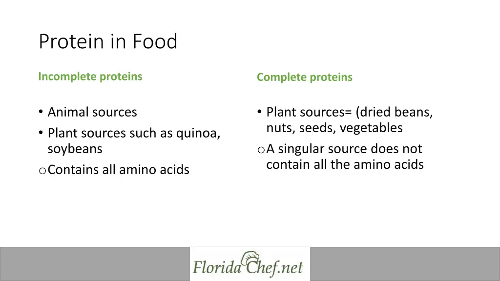 protein in food