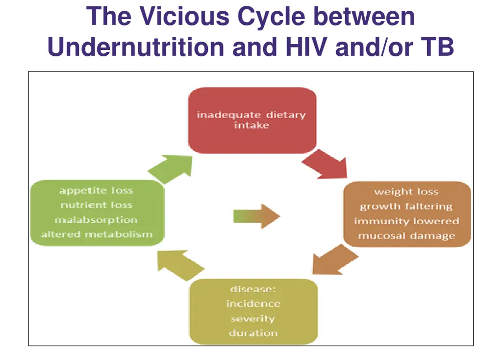 the vicious cycle between undernutrition