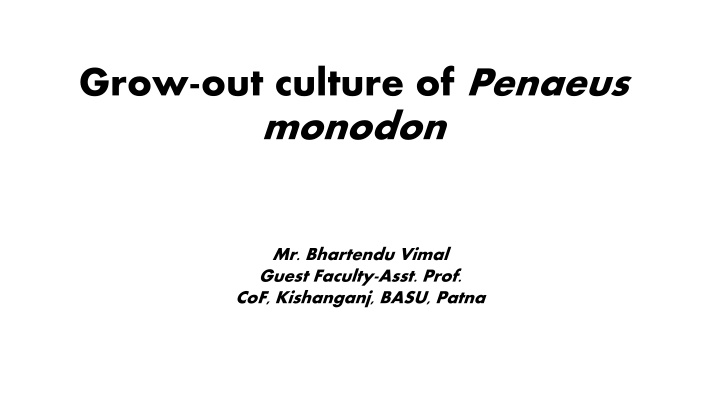 grow out culture of penaeus monodon