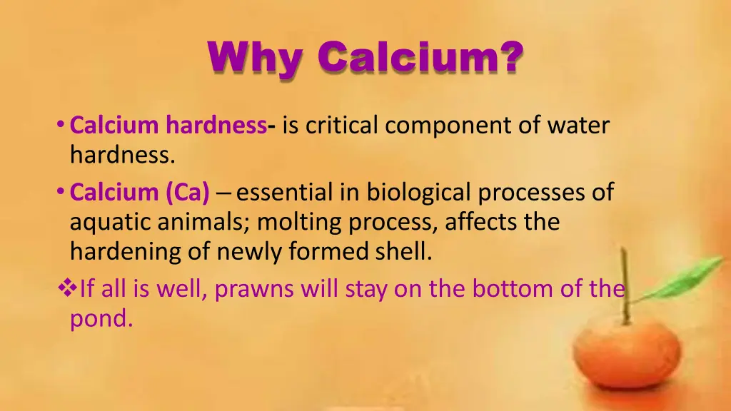 why calcium