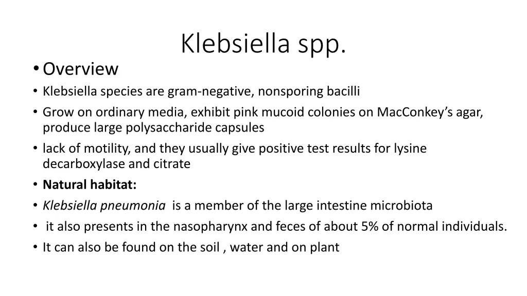 klebsiella spp