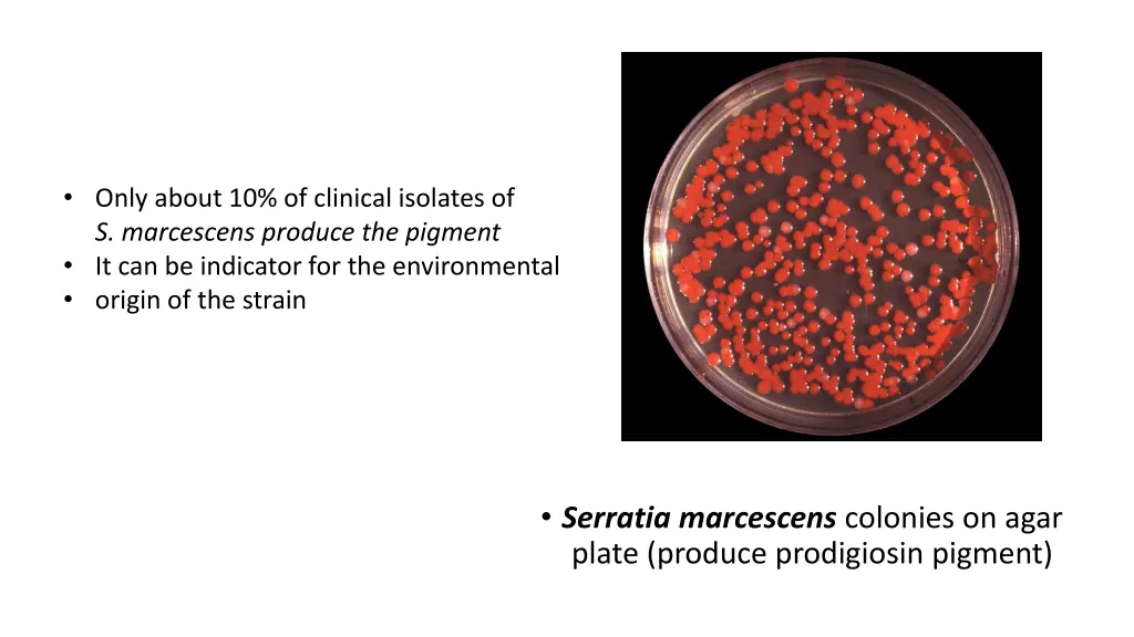 only about 10 of clinical isolates