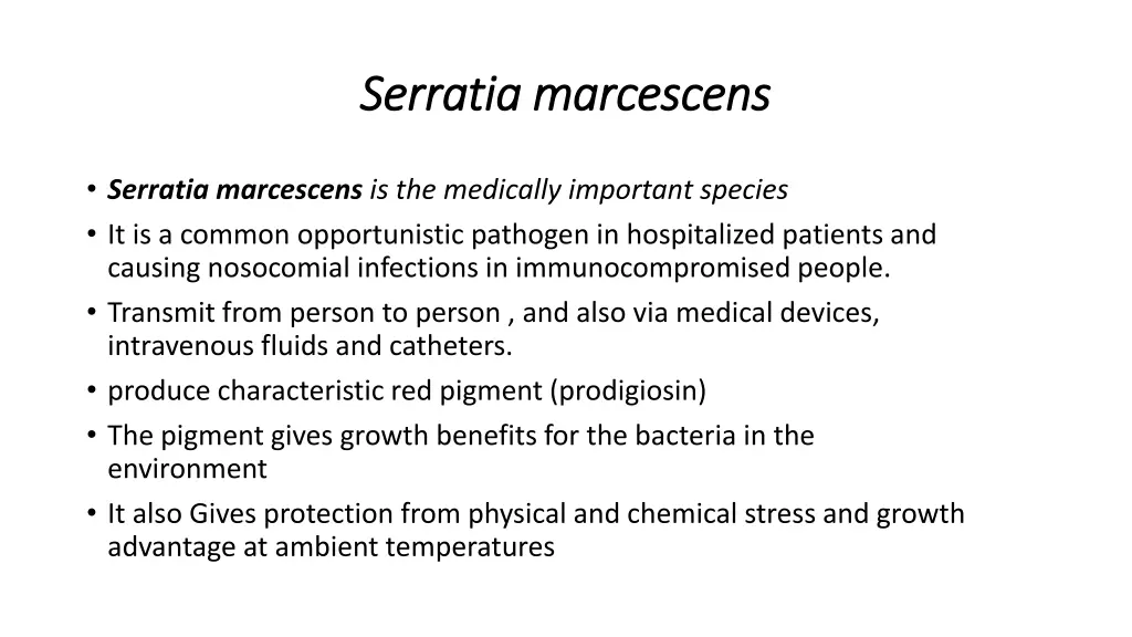 serratia marcescens serratia marcescens