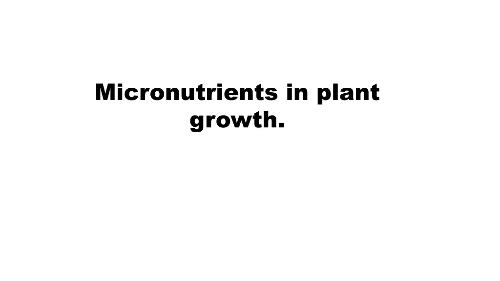 micronutrients in plant growth