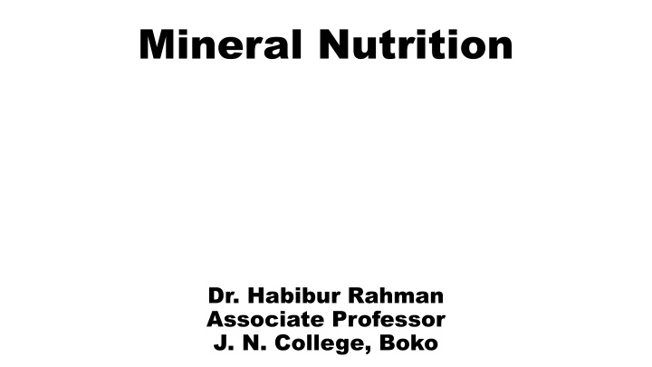 mineral nutrition