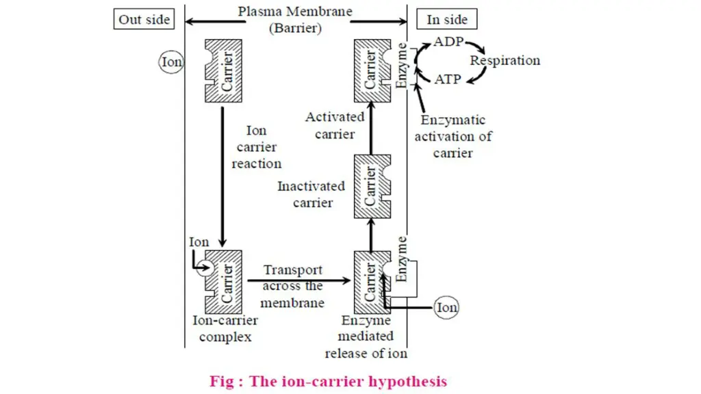 slide38