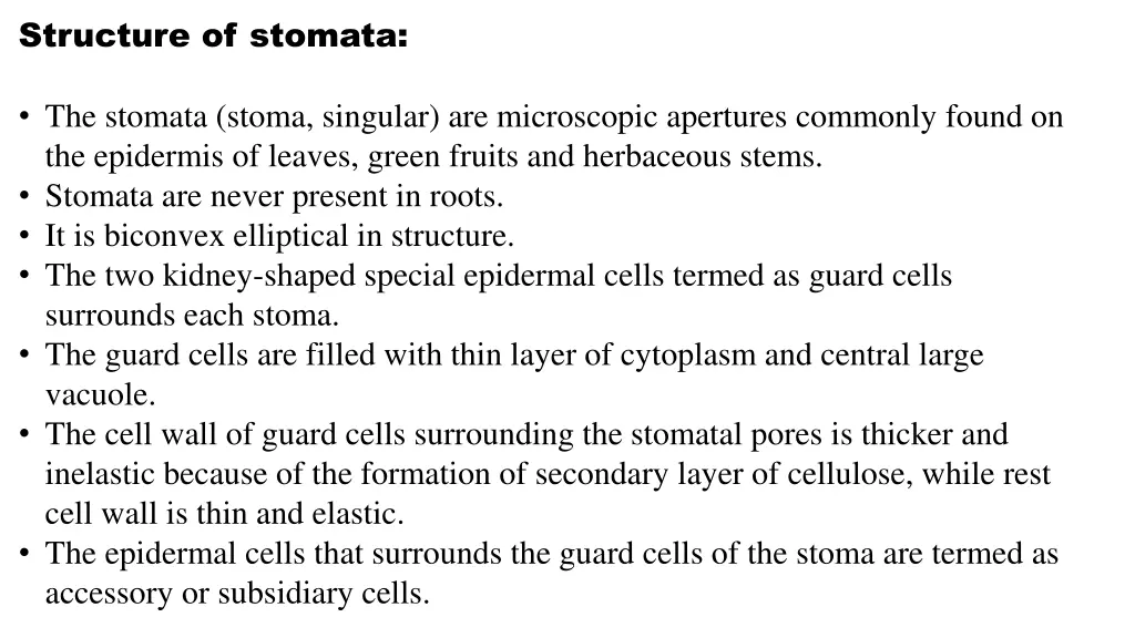 structure of stomata