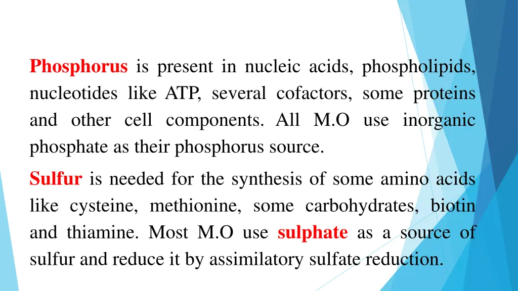 phosphorus is present in nucleic acids