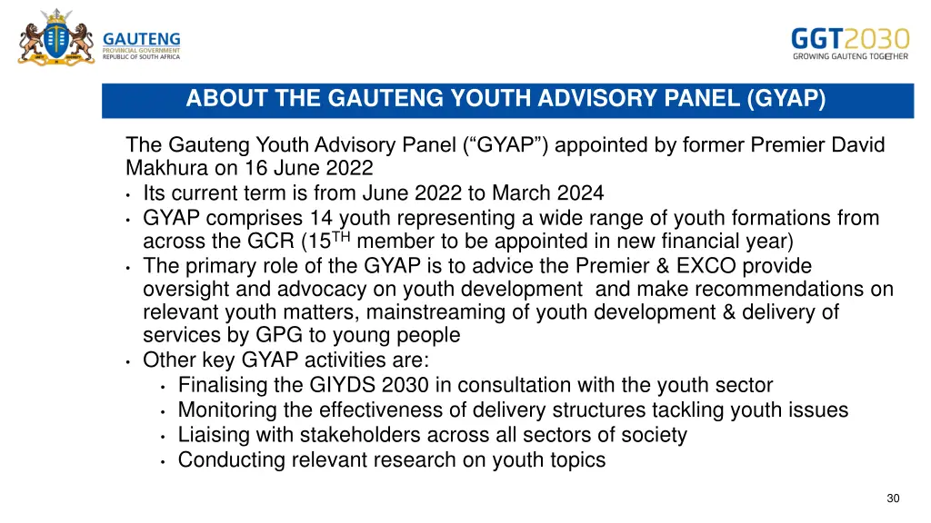 about the gauteng youth advisory panel gyap