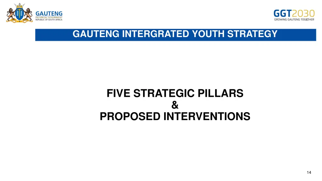 gauteng intergrated youth strategy