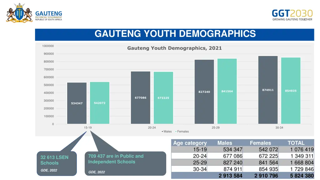 gauteng youth demographics