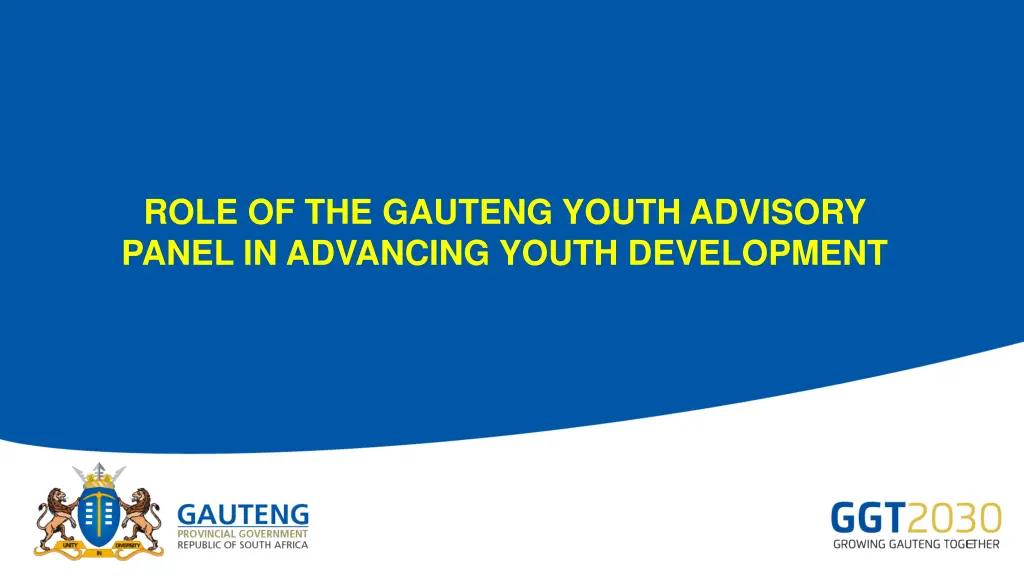 role of the gauteng youth advisory panel