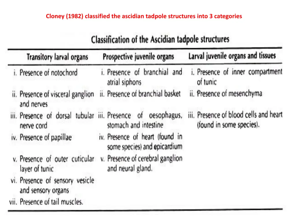 cloney 1982 classified the ascidian tadpole