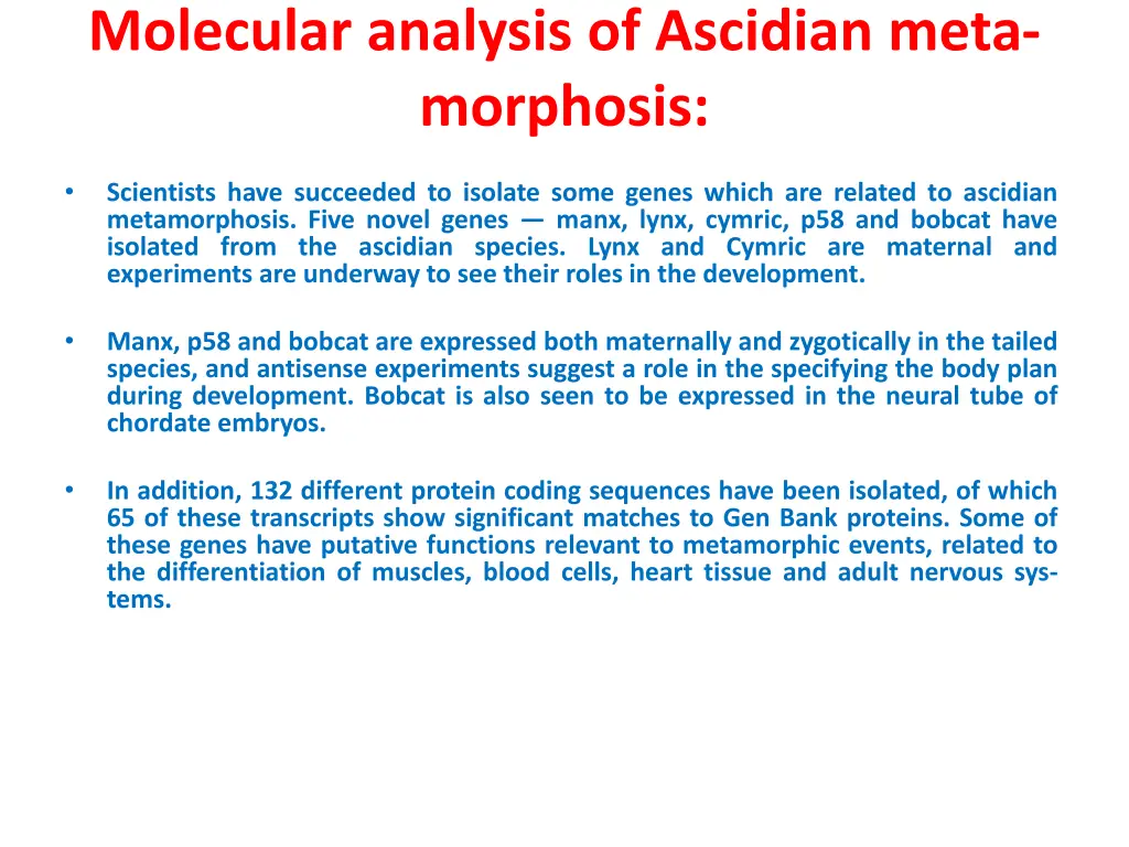 molecular analysis of ascidian meta morphosis