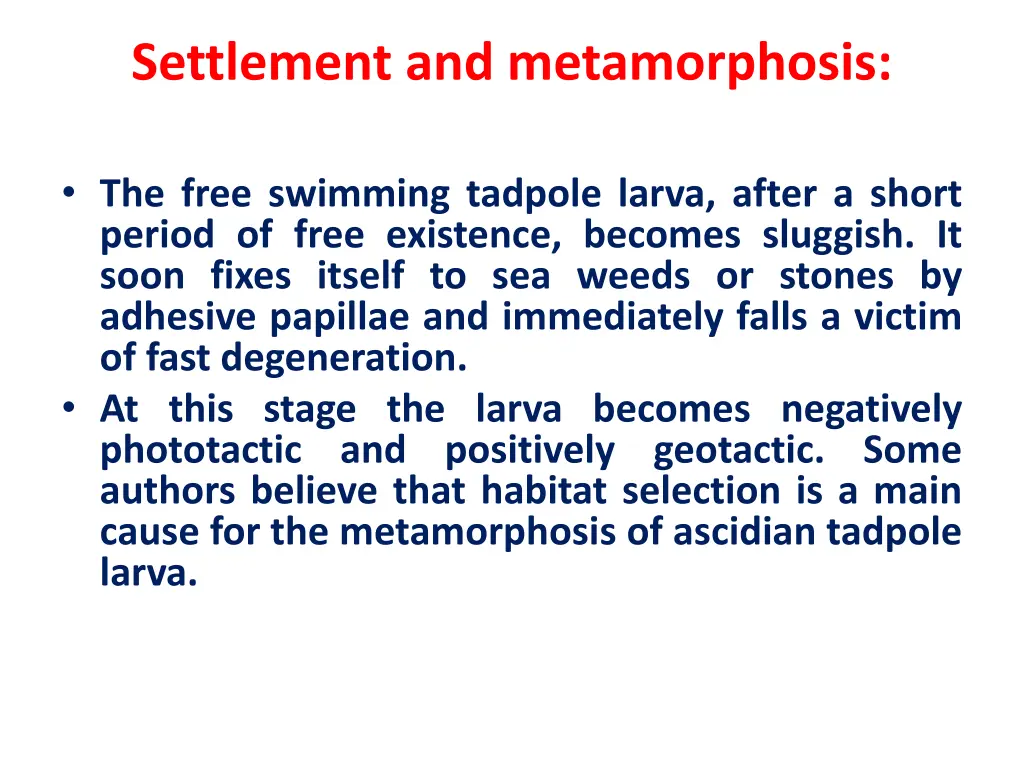 settlement and metamorphosis