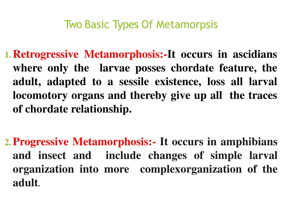 two basic types of metamorpsis