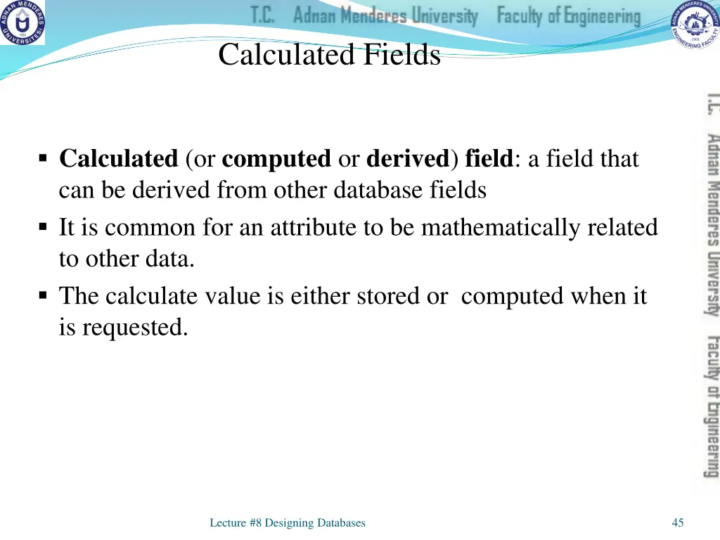 calculated fields