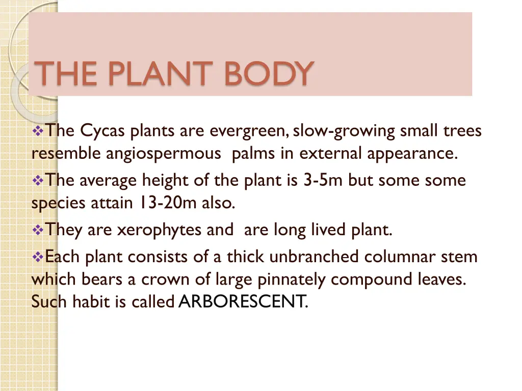 the plant body