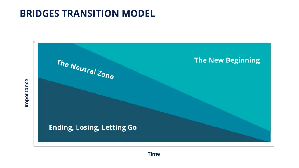 bridges transition model