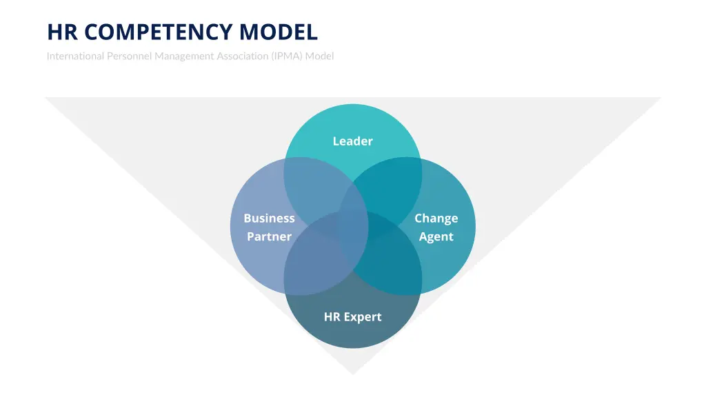 hr competency model international personnel