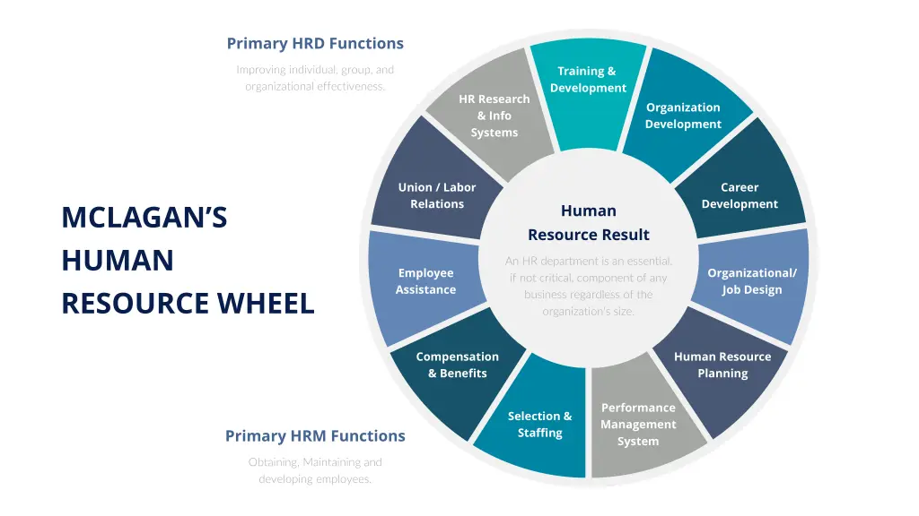 primary hrd functions