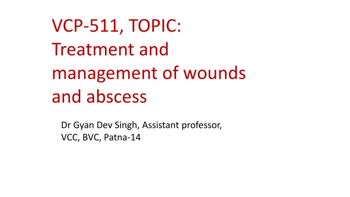 vcp 511 topic treatment and management of wounds