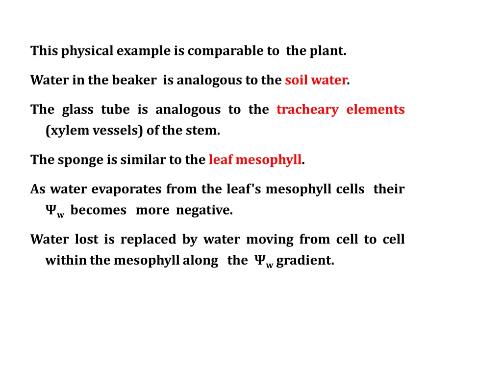 this physical example is comparable to the plant