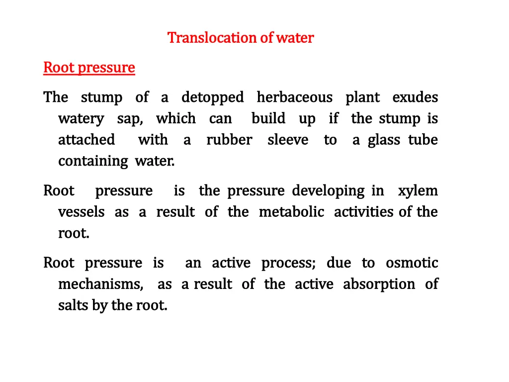 translocation of water translocation of water