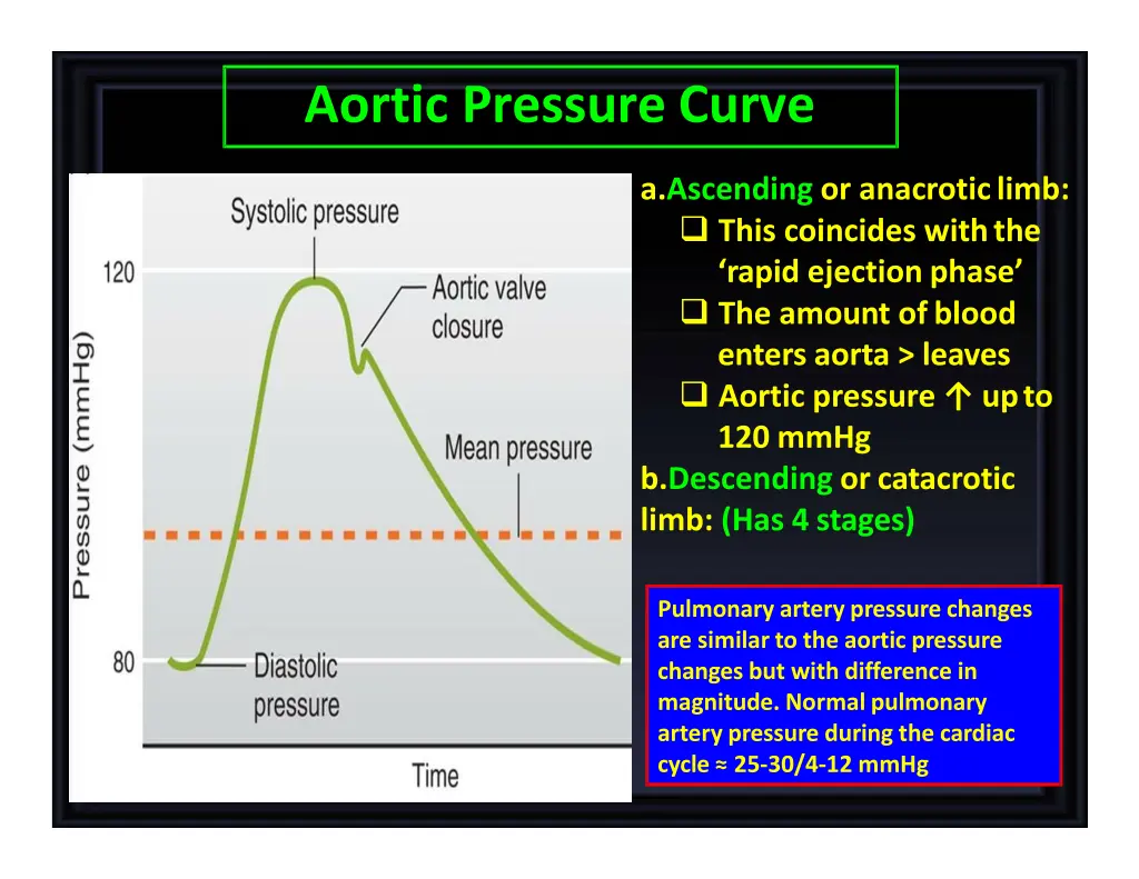 aortic pressure curve